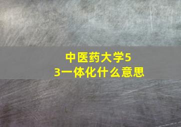 中医药大学5 3一体化什么意思